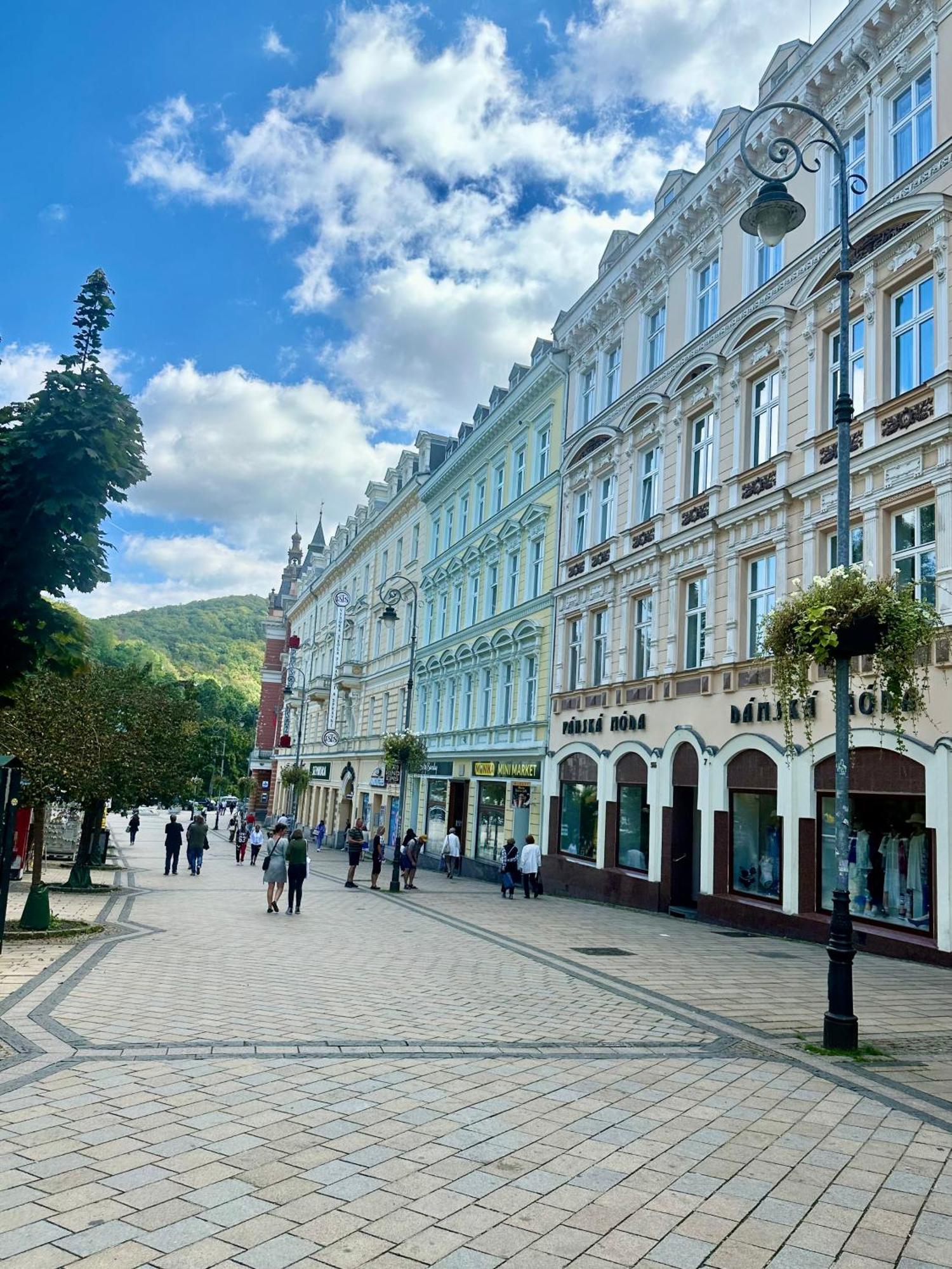 Apartment Th Karlovy Vary Dış mekan fotoğraf