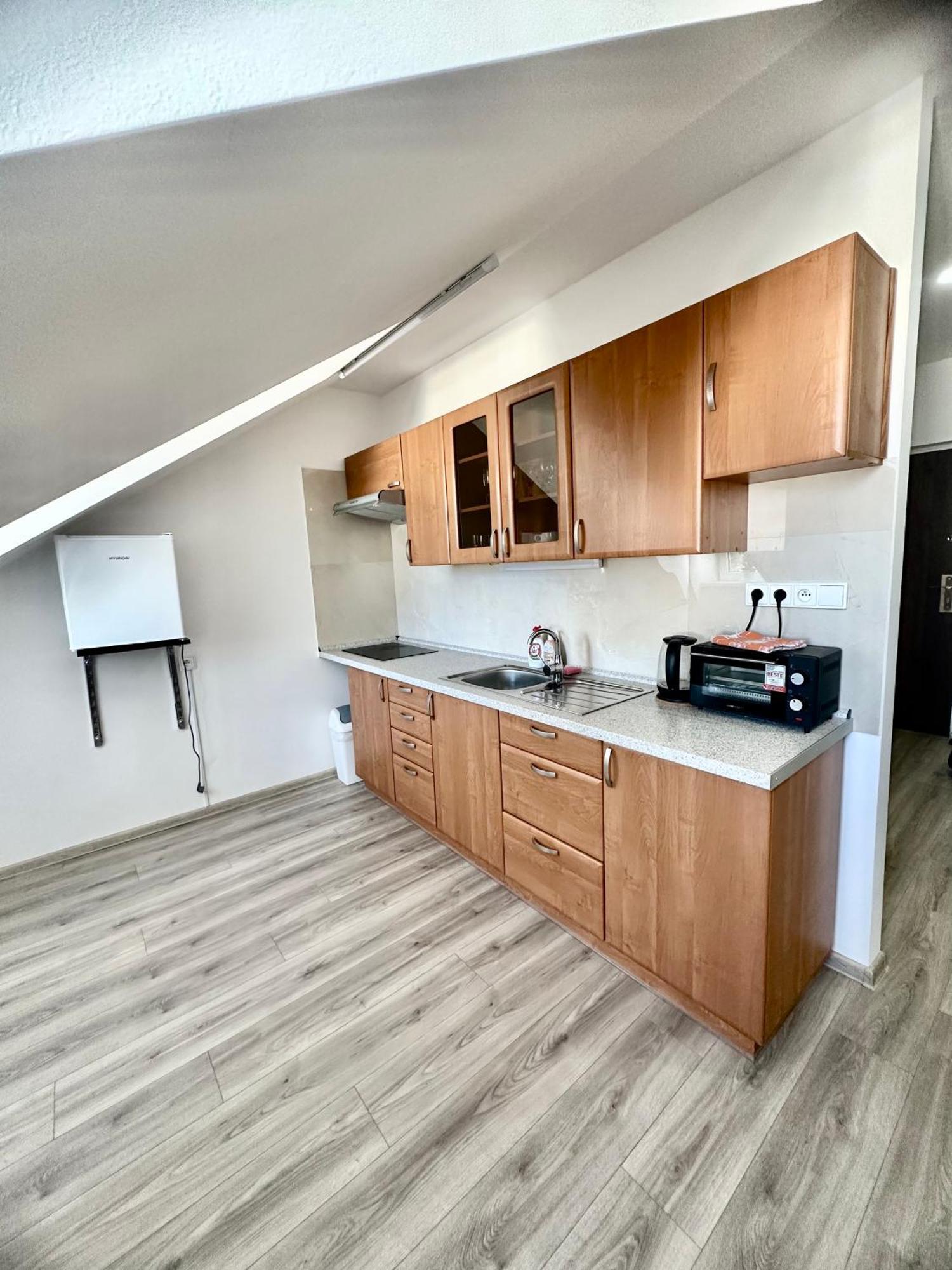 Apartment Th Karlovy Vary Oda fotoğraf
